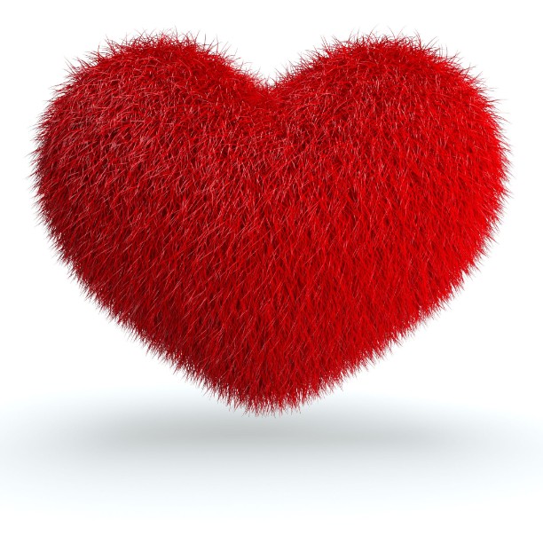 Red Fur Heart